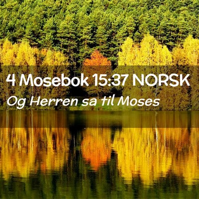 Picture 02 - 4 Mosebok 15:37 NORSK - Og Herren sa til - Bible Verse Picture