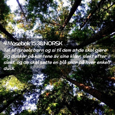 Picture 02 - 4 Mosebok 15:38 NORSK - Tal til Israels barn og si til dem at de skal - Bible Verse Picture