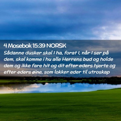 Picture 02 - 4 Mosebok 15:39 NORSK - Sådanne dusker skal I ha, forat I, når I ser - Bible Verse Picture