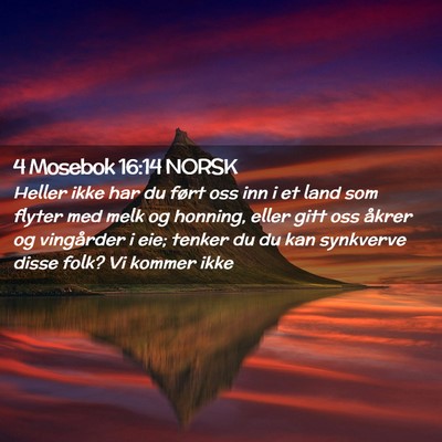 Picture 02 - 4 Mosebok 16:14 NORSK - Heller ikke har du ført oss inn i et land som - Bible Verse Picture