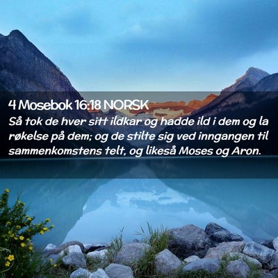 Picture 02 - 4 Mosebok 16:18 NORSK - Så tok de hver sitt ildkar og hadde ild i dem og - Bible Verse Picture
