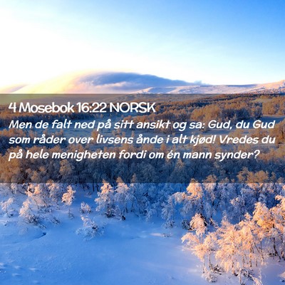 Picture 02 - 4 Mosebok 16:22 NORSK - Men de falt ned på sitt ansikt og sa: Gud, du - Bible Verse Picture