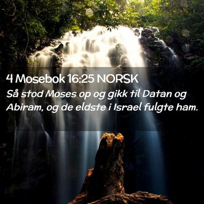 Picture 02 - 4 Mosebok 16:25 NORSK - Så stod Moses op og gikk til Datan og Abiram, og - Bible Verse Picture