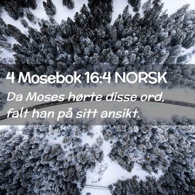 Picture 02 - 4 Mosebok 16:4 NORSK - Da Moses hørte disse ord, falt han på sitt - Bible Verse Picture