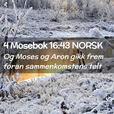 Picture 02 - 4 Mosebok 16:43 NORSK - Og Moses og Aron gikk frem foran sammenkomstens - Bible Verse Picture