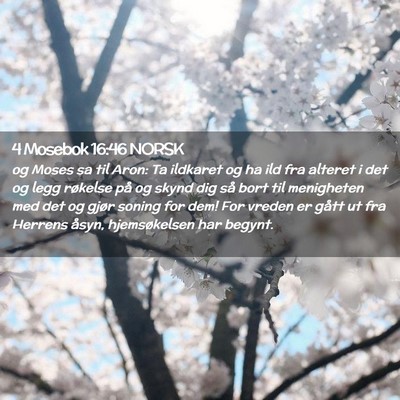 Picture 02 - 4 Mosebok 16:46 NORSK - og Moses sa til Aron: Ta ildkaret og ha ild fra - Bible Verse Picture