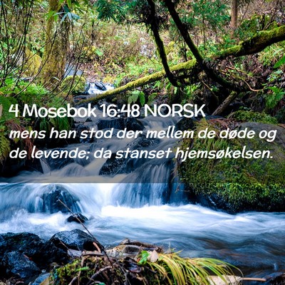 Picture 02 - 4 Mosebok 16:48 NORSK - mens han stod der mellem de døde og de levende; - Bible Verse Picture