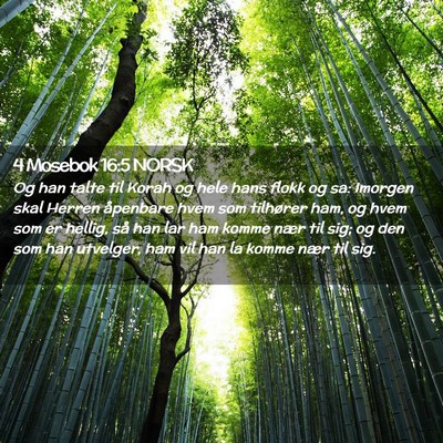 Picture 02 - 4 Mosebok 16:5 NORSK - Og han talte til Korah og hele hans flokk og sa: - Bible Verse Picture