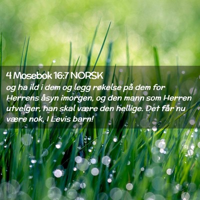 Picture 02 - 4 Mosebok 16:7 NORSK - og ha ild i dem og legg røkelse på dem for - Bible Verse Picture