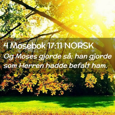 Picture 02 - 4 Mosebok 17:11 NORSK - Og Moses gjorde så; han gjorde som Herren hadde - Bible Verse Picture
