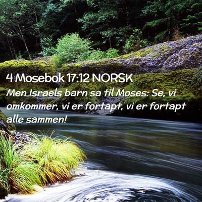 Picture 02 - 4 Mosebok 17:12 NORSK - Men Israels barn sa til Moses: Se, vi omkommer, - Bible Verse Picture