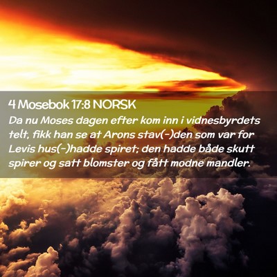 Picture 02 - 4 Mosebok 17:8 NORSK - Da nu Moses dagen efter kom inn i vidnesbyrdets - Bible Verse Picture