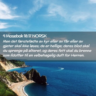 Picture 02 - 4 Mosebok 18:17 NORSK - Men det førstefødte av kyr eller av får eller - Bible Verse Picture