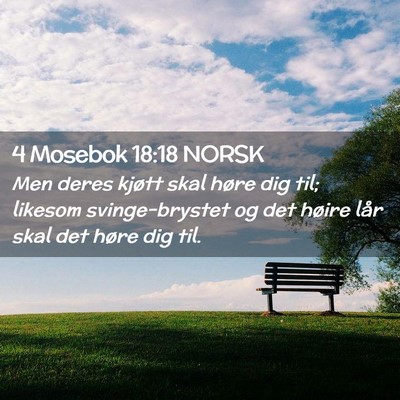 Picture 02 - 4 Mosebok 18:18 NORSK - Men deres kjøtt skal høre dig til; likesom - Bible Verse Picture