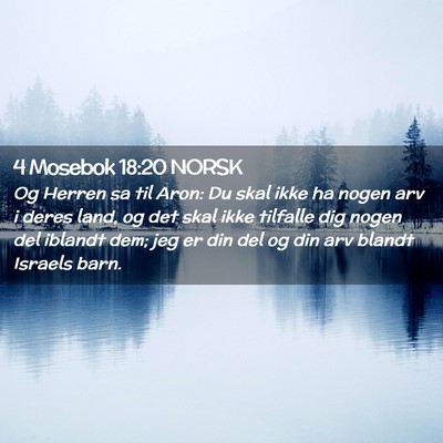 Picture 02 - 4 Mosebok 18:20 NORSK - Og Herren sa til Aron: Du skal ikke ha nogen arv - Bible Verse Picture