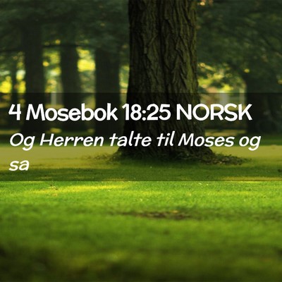 Picture 02 - 4 Mosebok 18:25 NORSK - Og Herren talte til Moses og - Bible Verse Picture