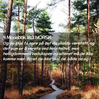Picture 02 - 4 Mosebok 18:3 NORSK - Og de skal ta vare på det du skulde varetatt, og - Bible Verse Picture