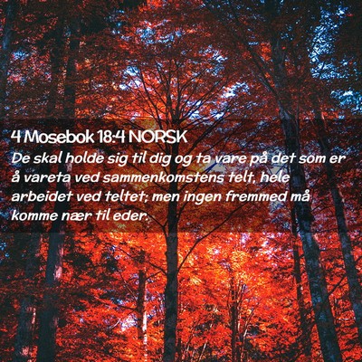 Picture 02 - 4 Mosebok 18:4 NORSK - De skal holde sig til dig og ta vare på det som - Bible Verse Picture