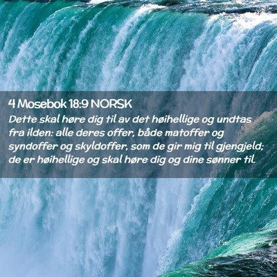 Picture 02 - 4 Mosebok 18:9 NORSK - Dette skal høre dig til av det høihellige og - Bible Verse Picture