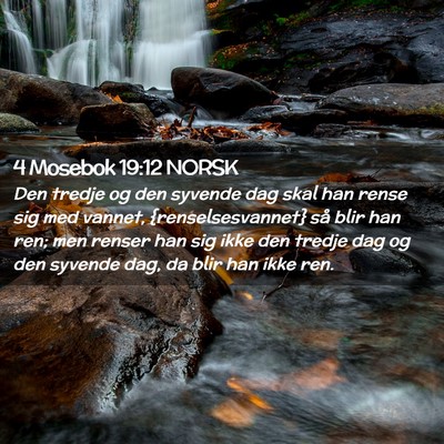 Picture 02 - 4 Mosebok 19:12 NORSK - Den tredje og den syvende dag skal han rense sig - Bible Verse Picture