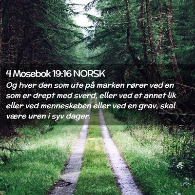 Picture 02 - 4 Mosebok 19:16 NORSK - Og hver den som ute på marken rører ved en som - Bible Verse Picture