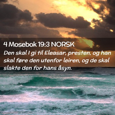 Picture 02 - 4 Mosebok 19:3 NORSK - Den skal I gi til Eleasar, presten, og han skal - Bible Verse Picture