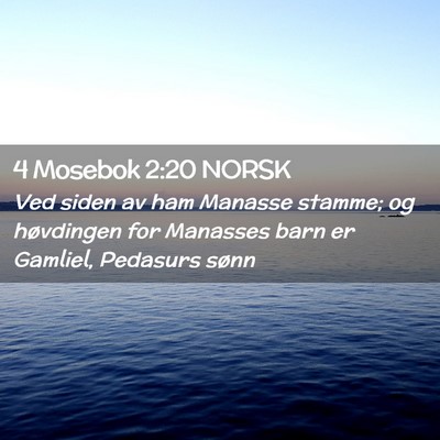 Picture 02 - 4 Mosebok 2:20 NORSK - Ved siden av ham Manasse stamme; og høvdingen - Bible Verse Picture