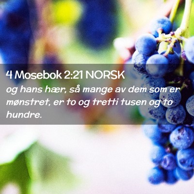 Picture 02 - 4 Mosebok 2:21 NORSK - og hans hær, så mange av dem som er mønstret, - Bible Verse Picture