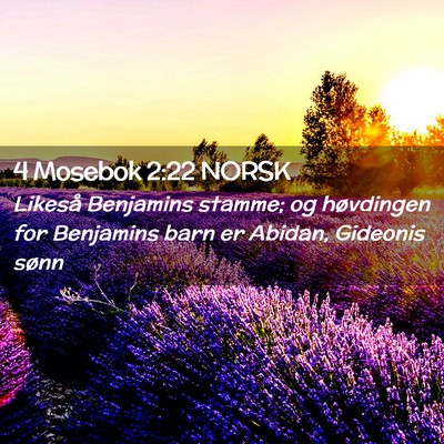 Picture 02 - 4 Mosebok 2:22 NORSK - Likeså Benjamins stamme; og høvdingen for - Bible Verse Picture
