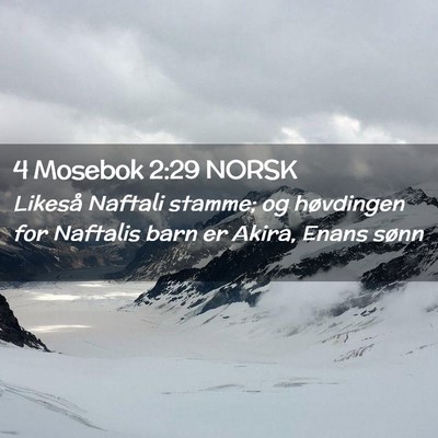 Picture 02 - 4 Mosebok 2:29 NORSK - Likeså Naftali stamme; og høvdingen for - Bible Verse Picture