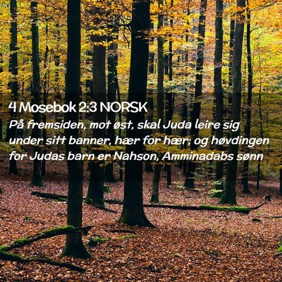 Picture 02 - 4 Mosebok 2:3 NORSK - På fremsiden, mot øst, skal Juda leire sig - Bible Verse Picture