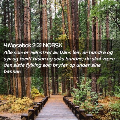 Picture 02 - 4 Mosebok 2:31 NORSK - Alle som er mønstret av Dans leir, er hundre og - Bible Verse Picture