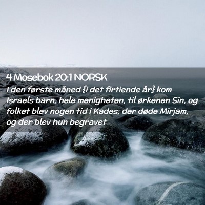 Picture 02 - 4 Mosebok 20:1 NORSK - I den første måned {i det firtiende år} kom - Bible Verse Picture