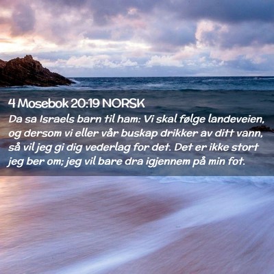 Picture 02 - 4 Mosebok 20:19 NORSK - Da sa Israels barn til ham: Vi skal følge - Bible Verse Picture