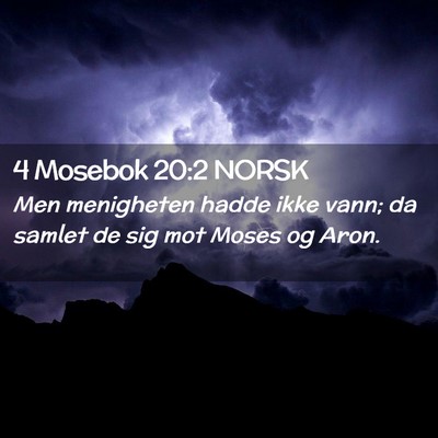 Picture 02 - 4 Mosebok 20:2 NORSK - Men menigheten hadde ikke vann; da samlet de sig - Bible Verse Picture