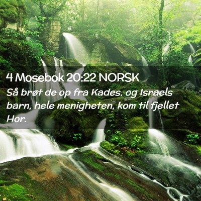 Picture 02 - 4 Mosebok 20:22 NORSK - Så brøt de op fra Kades, og Israels barn, hele - Bible Verse Picture