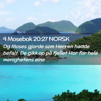 Picture 02 - 4 Mosebok 20:27 NORSK - Og Moses gjorde som Herren hadde befalt. De gikk - Bible Verse Picture
