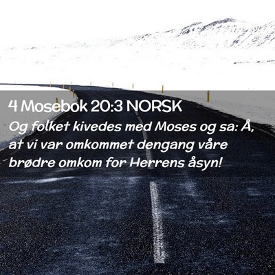 Picture 02 - 4 Mosebok 20:3 NORSK - Og folket kivedes med Moses og sa: Å, at vi var - Bible Verse Picture