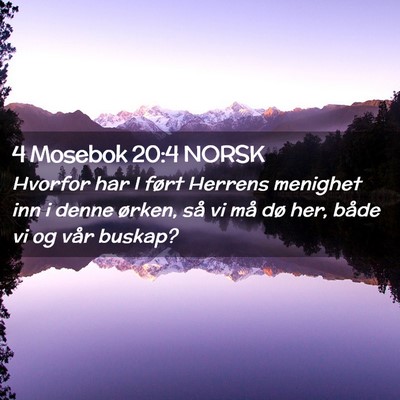 Picture 02 - 4 Mosebok 20:4 NORSK - Hvorfor har I ført Herrens menighet inn i denne - Bible Verse Picture