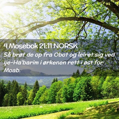 Picture 02 - 4 Mosebok 21:11 NORSK - Så brøt de op fra Obot og leiret sig ved - Bible Verse Picture