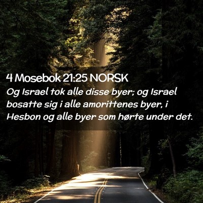 Picture 02 - 4 Mosebok 21:25 NORSK - Og Israel tok alle disse byer; og Israel bosatte - Bible Verse Picture