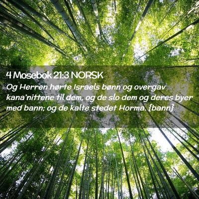 Picture 02 - 4 Mosebok 21:3 NORSK - Og Herren hørte Israels bønn og overgav - Bible Verse Picture