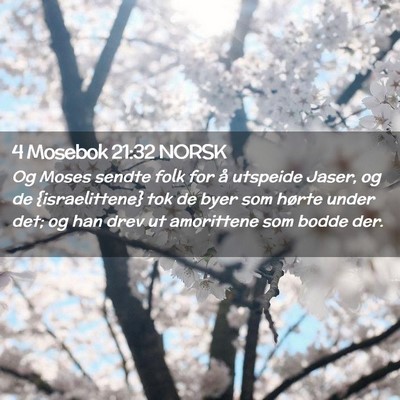 Picture 02 - 4 Mosebok 21:32 NORSK - Og Moses sendte folk for å utspeide Jaser, og de - Bible Verse Picture
