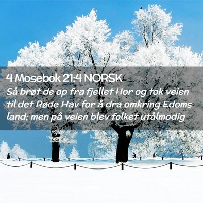 Picture 02 - 4 Mosebok 21:4 NORSK - Så brøt de op fra fjellet Hor og tok veien til - Bible Verse Picture