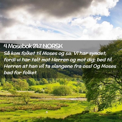 Picture 02 - 4 Mosebok 21:7 NORSK - Så kom folket til Moses og sa: Vi har syndet, - Bible Verse Picture