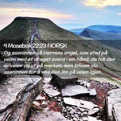 Picture 02 - 4 Mosebok 22:23 NORSK - Og aseninnen så Herrens engel, som stod på - Bible Verse Picture