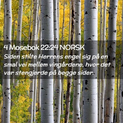 Picture 02 - 4 Mosebok 22:24 NORSK - Siden stilte Herrens engel sig på en smal vei - Bible Verse Picture