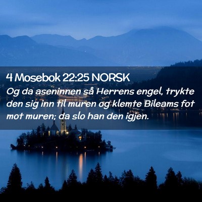 Picture 02 - 4 Mosebok 22:25 NORSK - Og da aseninnen så Herrens engel, trykte den sig - Bible Verse Picture