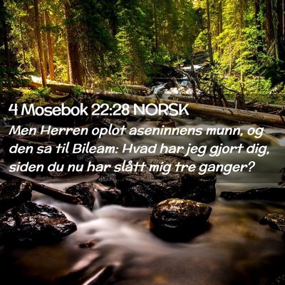 Picture 02 - 4 Mosebok 22:28 NORSK - Men Herren oplot aseninnens munn, og den sa til - Bible Verse Picture