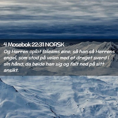 Picture 02 - 4 Mosebok 22:31 NORSK - Og Herren oplot Bileams øine, så han så - Bible Verse Picture